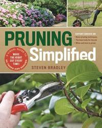 bokomslag Pruning Simplified