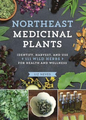 Northeast Medicinal Plants 1