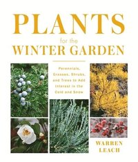 bokomslag Plants for the Winter Garden