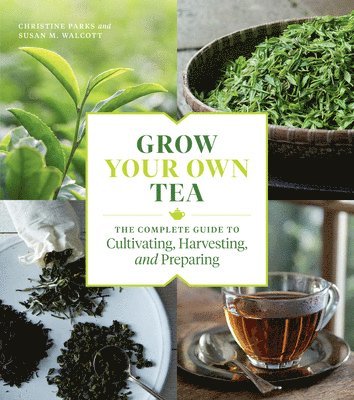 Grow Your Own Tea 1