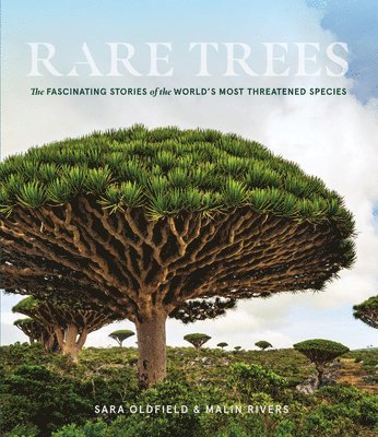 Rare Trees 1