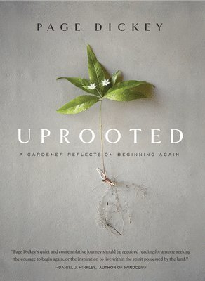 bokomslag Uprooted