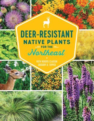 Deer-Resistant Native Plants for the Northeast 1