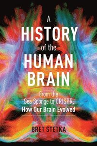 bokomslag A History of the Human Brain