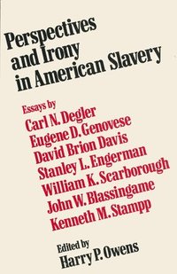 bokomslag Perspectives and Irony in American Slavery