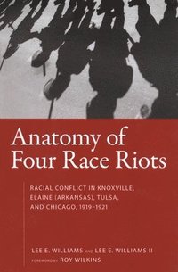 bokomslag Anatomy of Four Race Riots