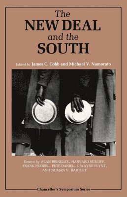 bokomslag New Deal and the South