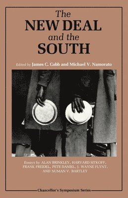 The New Deal and the South 1