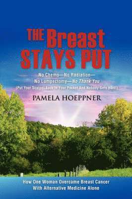 bokomslag Breast Stays Put