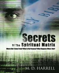 bokomslag Secrets Of The Spiritual Matrix