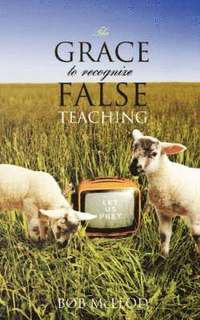 bokomslag The GRACE to Recognize False Teaching
