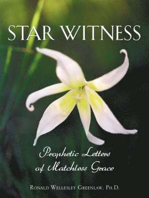 bokomslag Star Witness