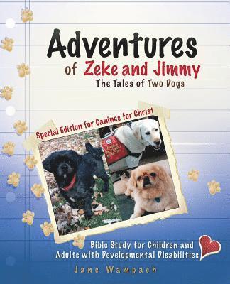 bokomslag Adventures of Zeke and Jimmy