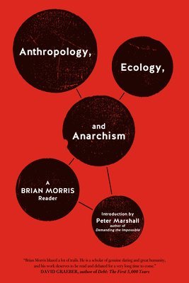 bokomslag Anthropology, Ecology, and Anarchism
