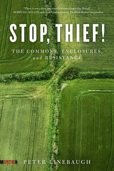 Peter Linebaugh - Stop, Thief!, Häftad