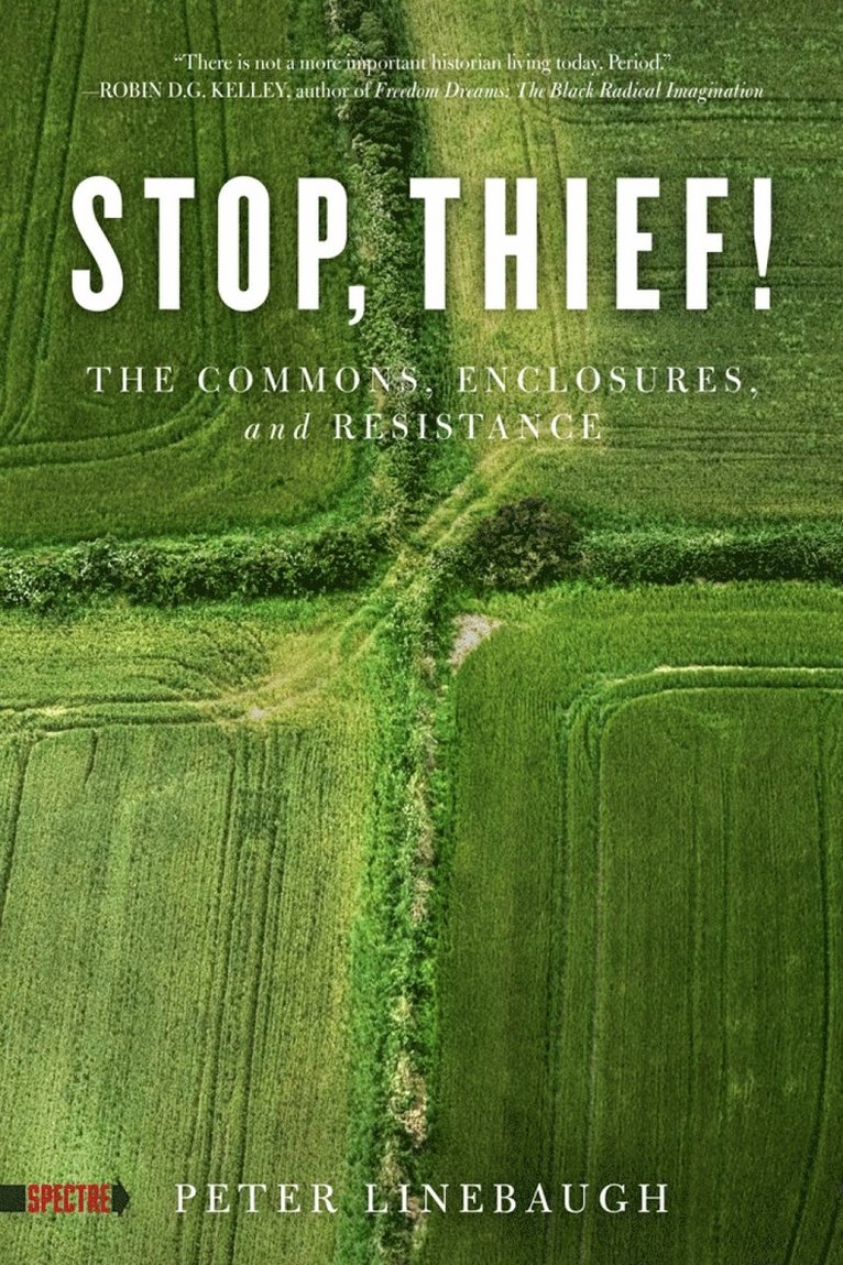 Stop, Thief! 1