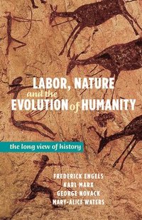 bokomslag Labor, Nature and the Evolution of Humanity