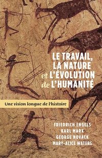 bokomslag Le Travail, La Nature Et l'Evolution de la Humanite