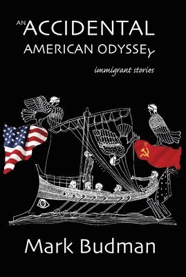 bokomslag Accidental American Odyssey
