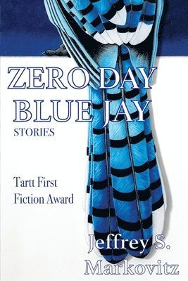 bokomslag Zero Day Bluejay