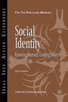 bokomslag Social Identity