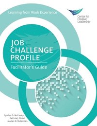 bokomslag Job Challenge Profile