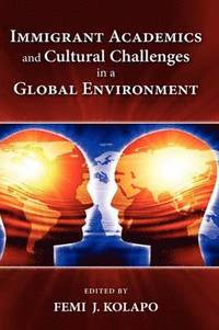 bokomslag Immigrant Academics and Cultural Challenges in a Global Environment