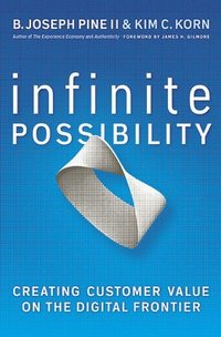 bokomslag Infinite Possibility: Creating Customer Value on the Digital Frontier