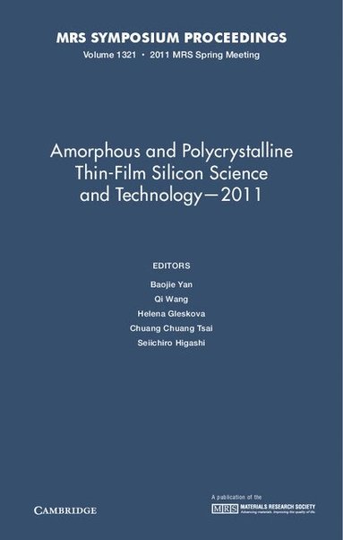Baojie Yan, Qi Wang, Helena Gleskova, Chuang Chuang Tsai, Seiichiro Higashi - Amorphous and Polycrystalline Thin-Film Silicon Science and Technology - 2011: Volume 1321, Inbunden
