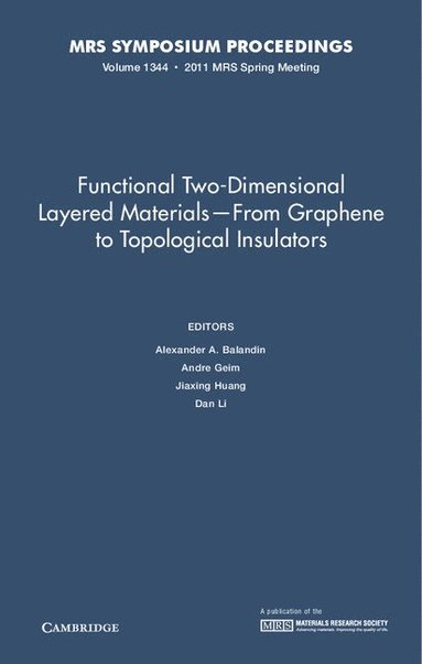 bokomslag Functional Two-Dimensional Layered Materials from Graphene to Topological Insulators