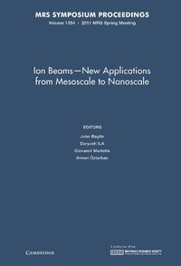 bokomslag Ion Beams - New Applications from Mesoscale to Nanoscale: Volume 1354