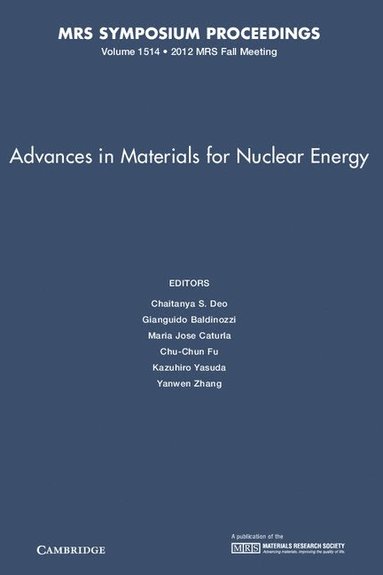 bokomslag Advances in Materials for Nuclear Energy: Volume 1514