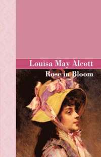 bokomslag Rose in Bloom