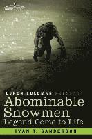 bokomslag Abominable Snowmen