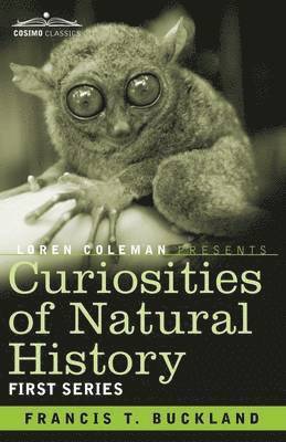 bokomslag Curiosities of Natural History, in Four Volumes