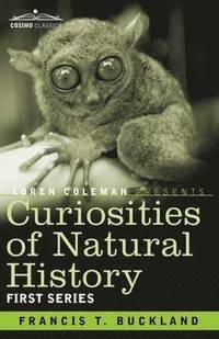 bokomslag Curiosities of Natural History, in Four Volumes