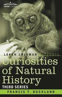 bokomslag Curiosities of Natural History, in Four Volumes