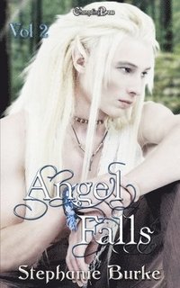 bokomslag Angel Falls Vol. 2