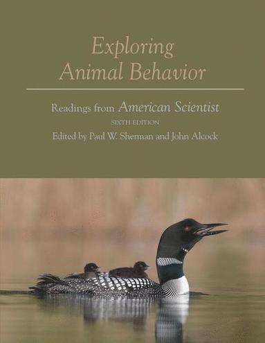 bokomslag Exploring Animal Behavior