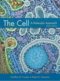 bokomslag The Cell: A Molecular Approach