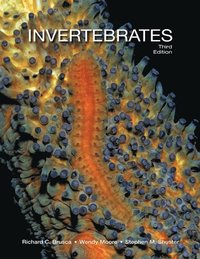 bokomslag Invertebrates