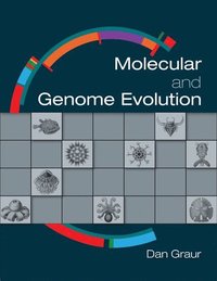 bokomslag Molecular and Genome Evolution