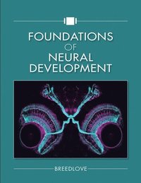 bokomslag Foundations of Neural Development