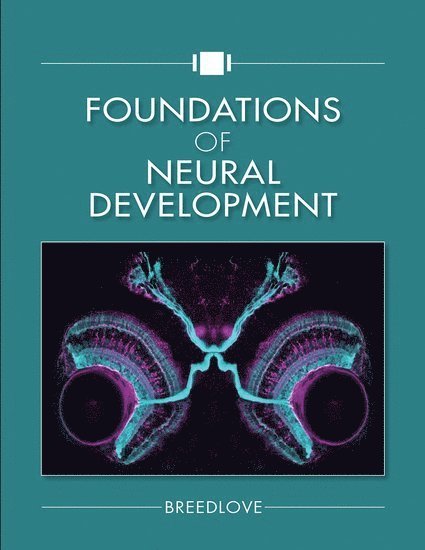 Foundations of Neural Development 1