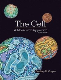 bokomslag The Cell: A Molecular Approach