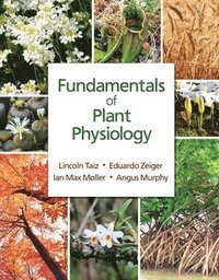 bokomslag Fundamentals of Plant Physiology