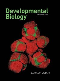 bokomslag Developmental Biology