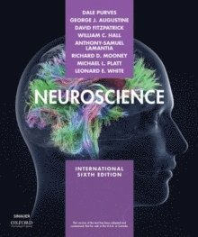 Neuroscience 1