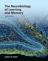 bokomslag The Neurobiology of Learning and Memory