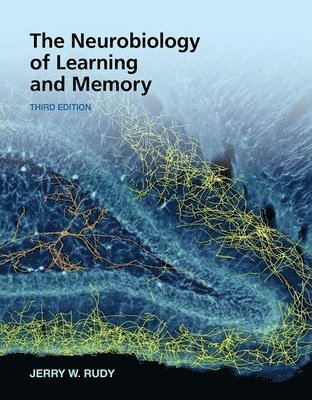 bokomslag Neurobiology of Learning and Memory